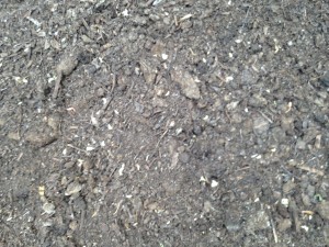 Mushroom Soil